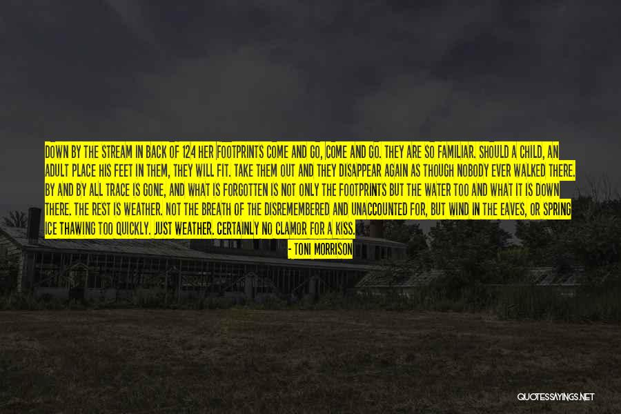 Skunk Pot Quotes By Toni Morrison Skunk Pot Quotes By Toni Morrison
