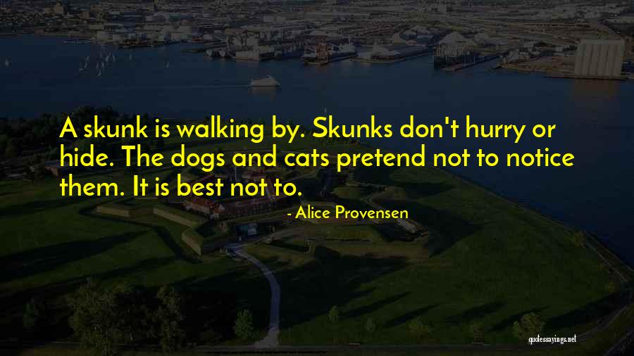 Skunk Quotes By Alice Provensen