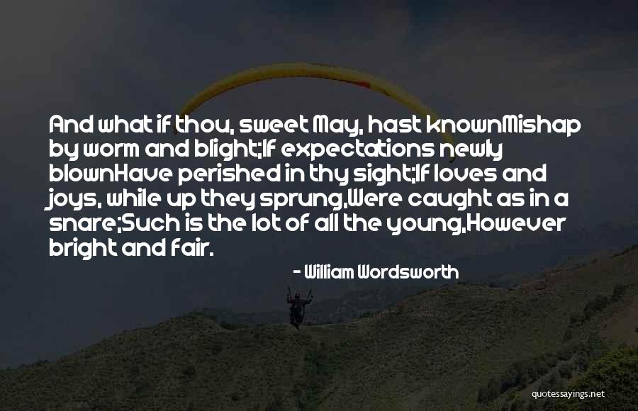 Skurka Starter Quotes By William Wordsworth Skurka Starter Quotes By William Wordsworth