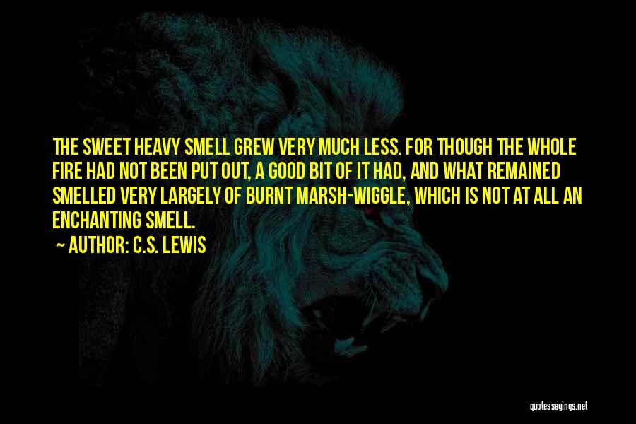 Skurnik Pay Quotes By C.S. Lewis