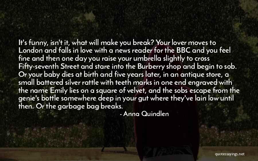 Sky Ablaze Quotes By Anna Quindlen Sky Ablaze Quotes By Anna Quindlen