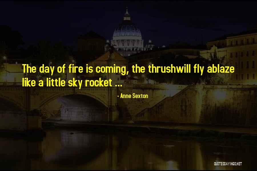 Sky Ablaze Quotes By Anne Sexton