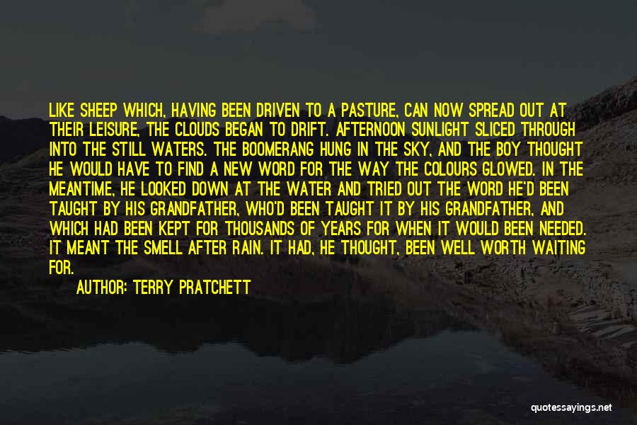 Sky After Rain Quotes By Terry Pratchett