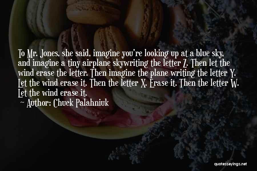 Sky Airplane Quotes By Chuck Palahniuk