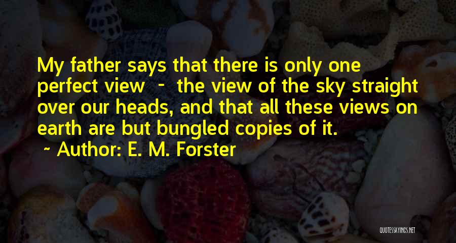 Sky And Earth Quotes By E. M. Forster
