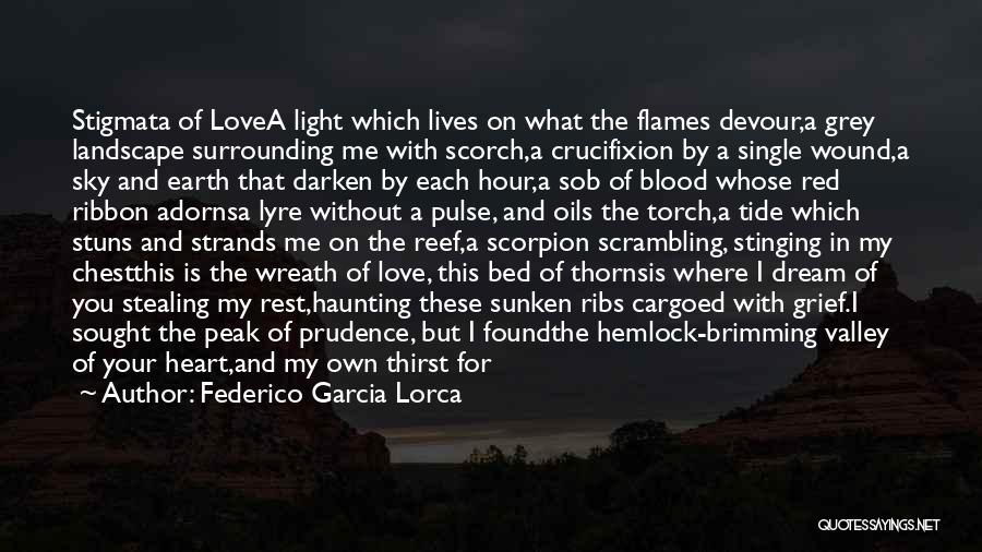 Sky And Earth Quotes By Federico Garcia Lorca