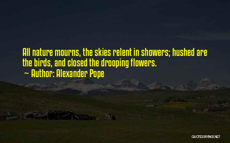 Sky And Flower Quotes By Alexander Pope