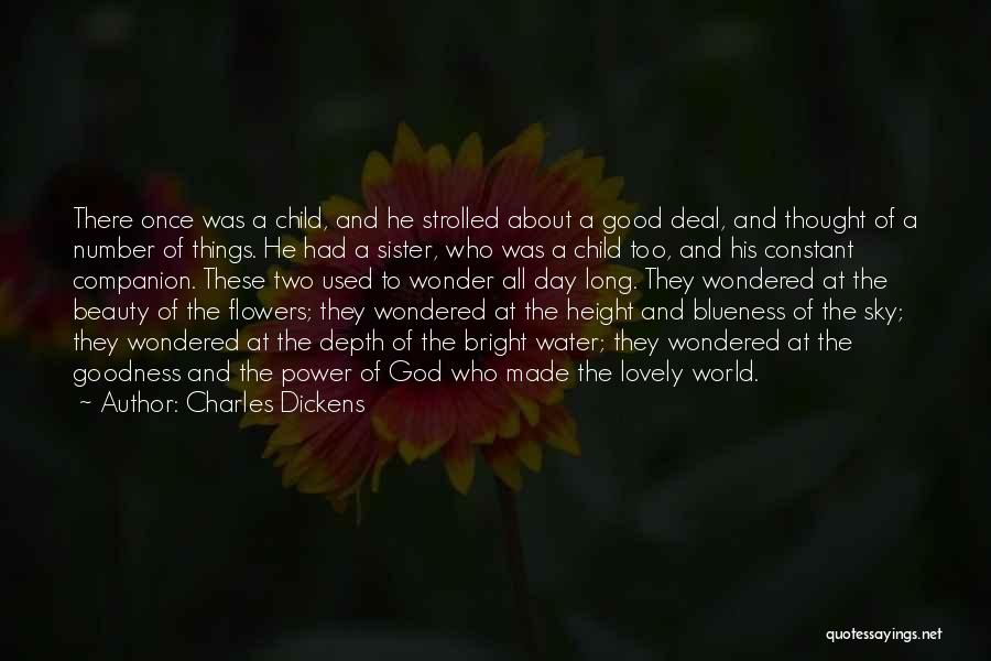 Sky And Flower Quotes By Charles Dickens