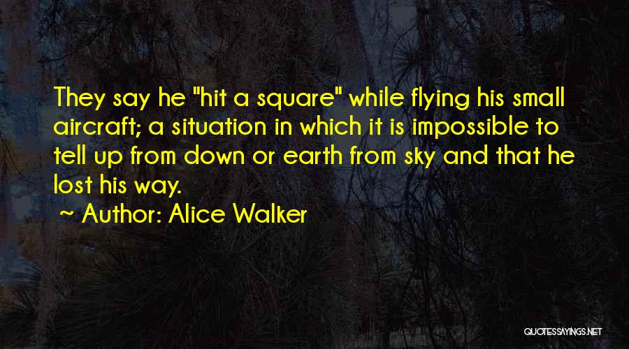 Sky And Flying Quotes By Alice Walker
