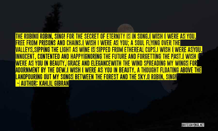 Sky And Flying Quotes By Kahlil Gibran