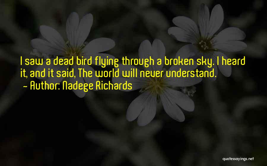 Sky And Flying Quotes By Nadege Richards