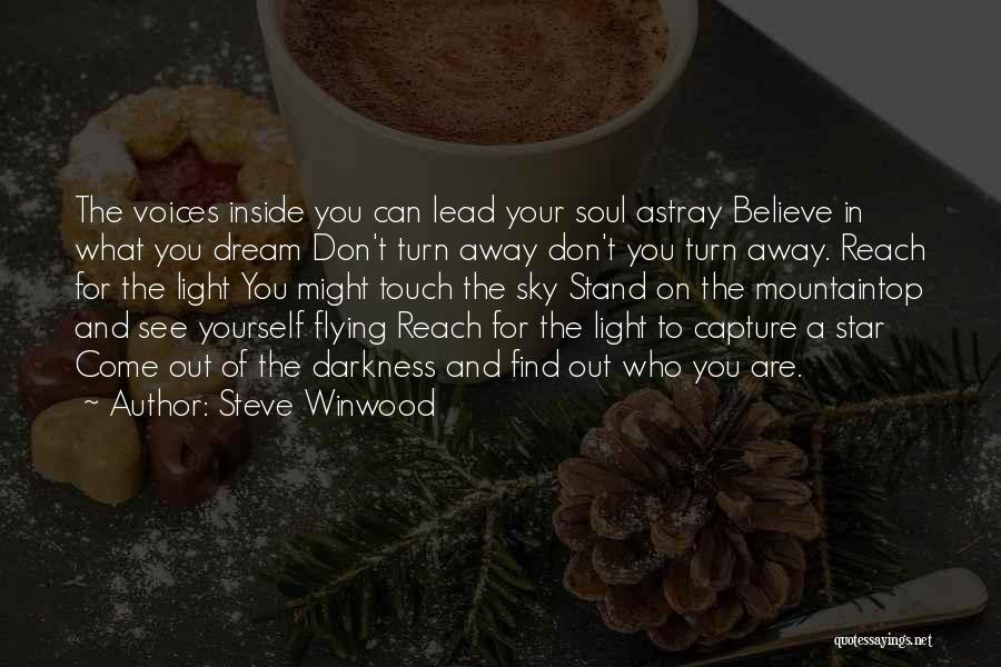 Sky And Flying Quotes By Steve Winwood