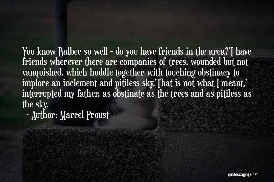 Sky And Friends Quotes By Marcel Proust