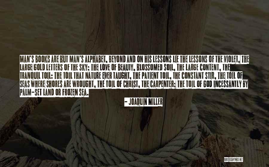 Sky And God Quotes By Joaquin Miller Sky And God Quotes By Joaquin Miller