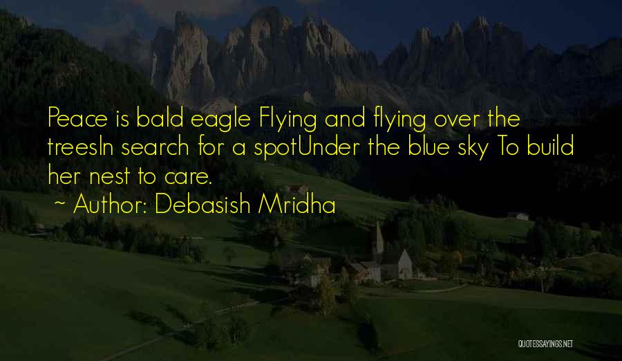 Sky And Love Quotes By Debasish Mridha