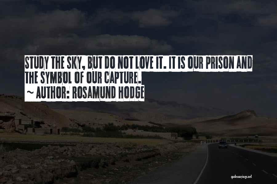 Sky And Love Quotes By Rosamund Hodge