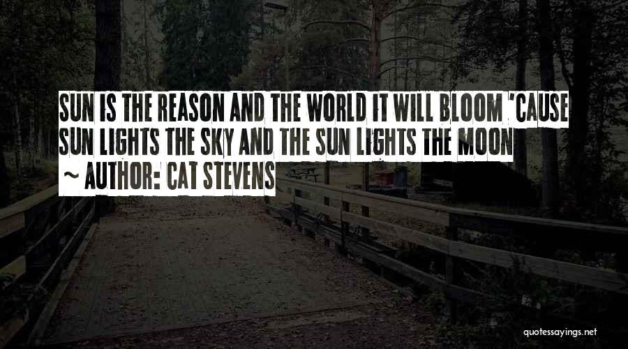 Sky And Moon Quotes By Cat Stevens