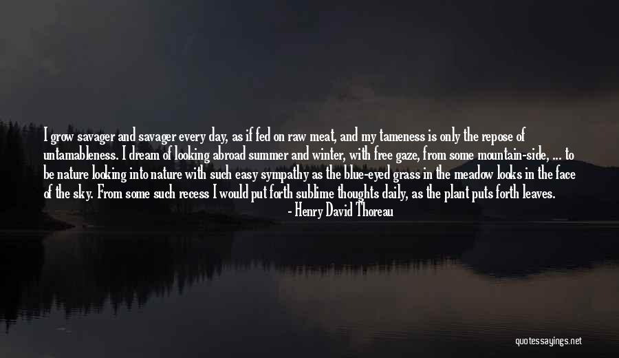 Sky And Mountain Quotes By Henry David Thoreau