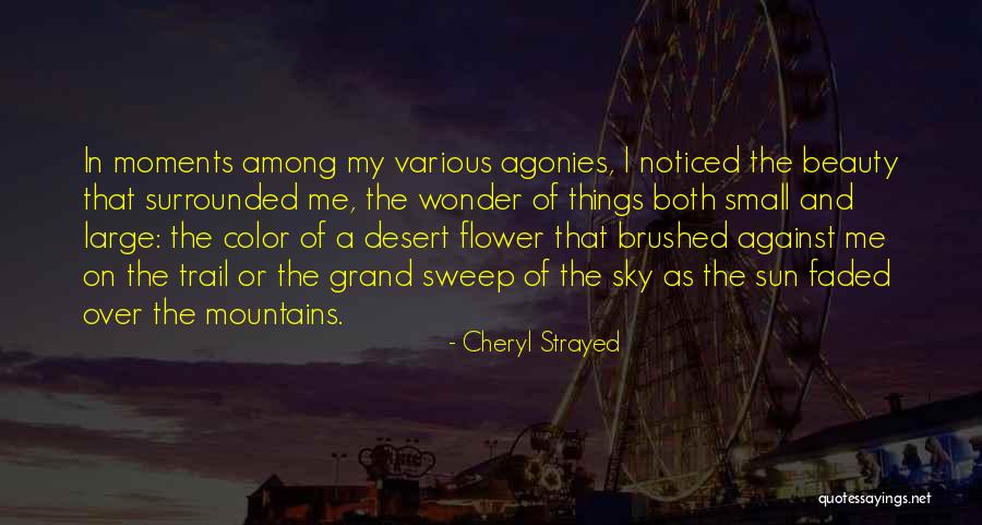 Sky And Mountains Quotes By Cheryl Strayed