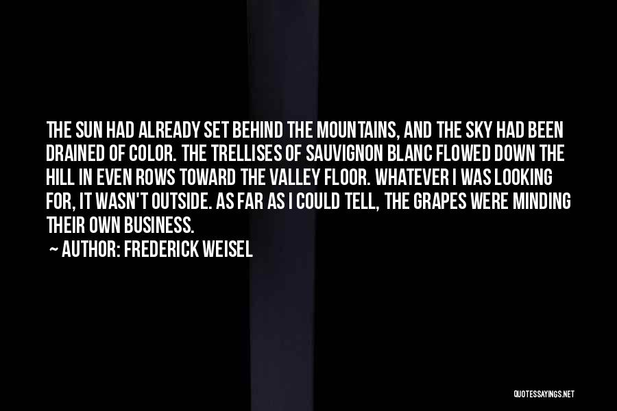 Sky And Mountains Quotes By Frederick Weisel