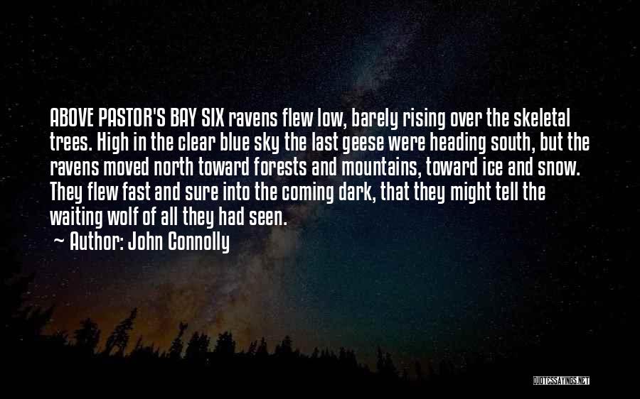 Sky And Mountains Quotes By John Connolly