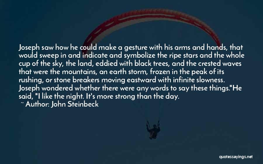 Sky And Mountains Quotes By John Steinbeck