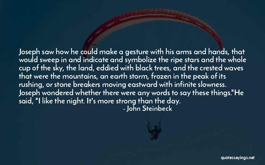 Sky And Mountains Quotes By John Steinbeck