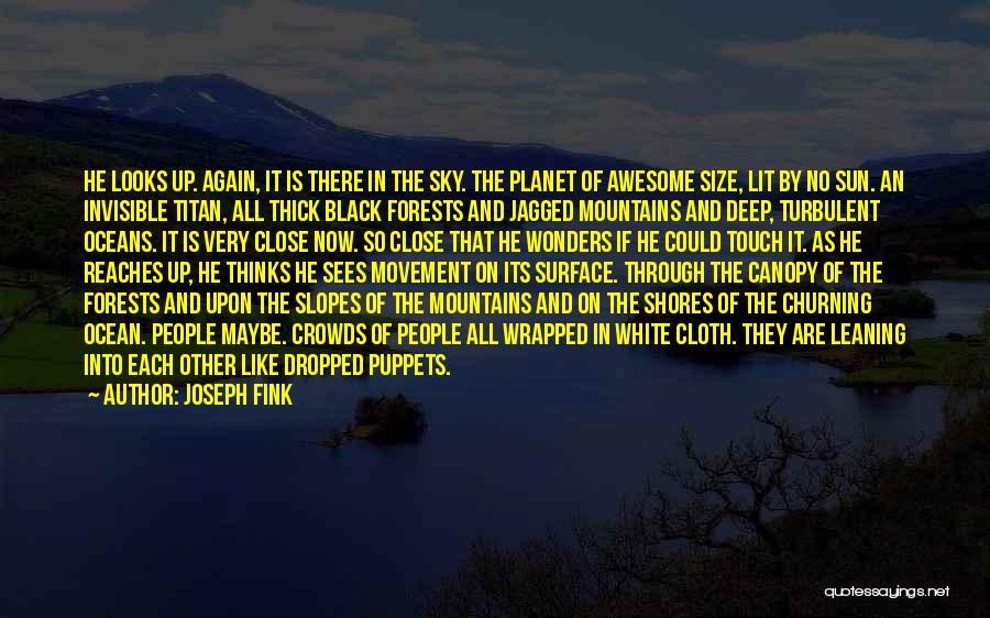 Sky And Mountains Quotes By Joseph Fink