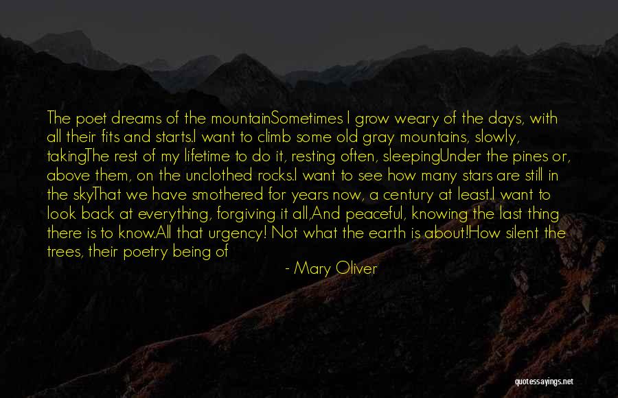 Sky And Mountains Quotes By Mary Oliver