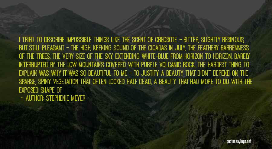 Sky And Mountains Quotes By Stephenie Meyer