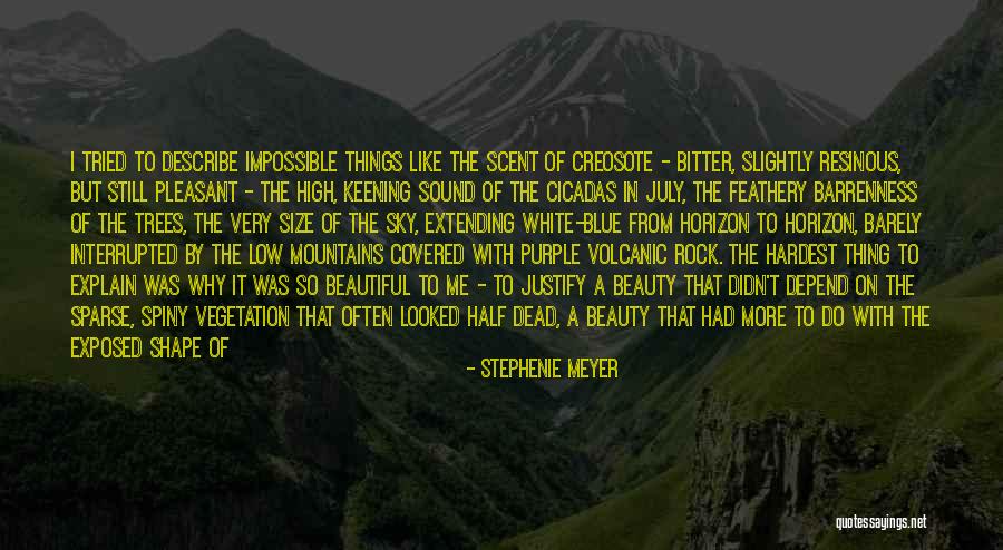 Sky And Mountains Quotes By Stephenie Meyer