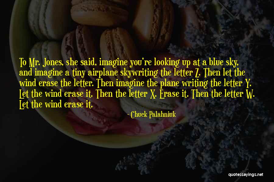 Sky And Plane Quotes By Chuck Palahniuk