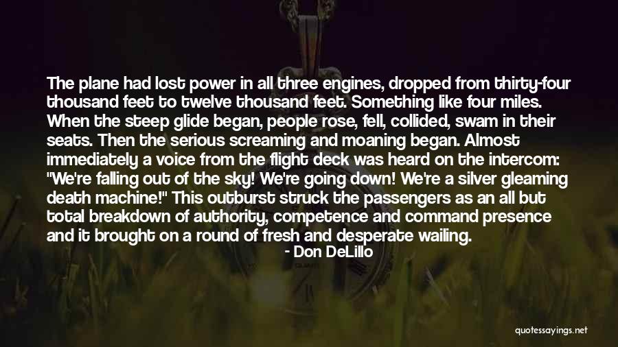 Sky And Plane Quotes By Don DeLillo Sky And Plane Quotes By Don DeLillo