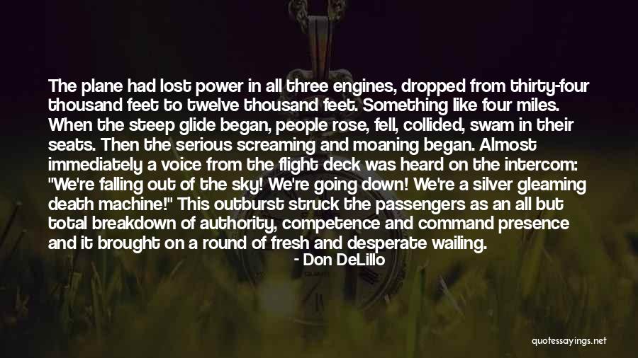 Sky And Plane Quotes By Don DeLillo