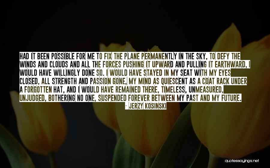 Sky And Plane Quotes By Jerzy Kosinski