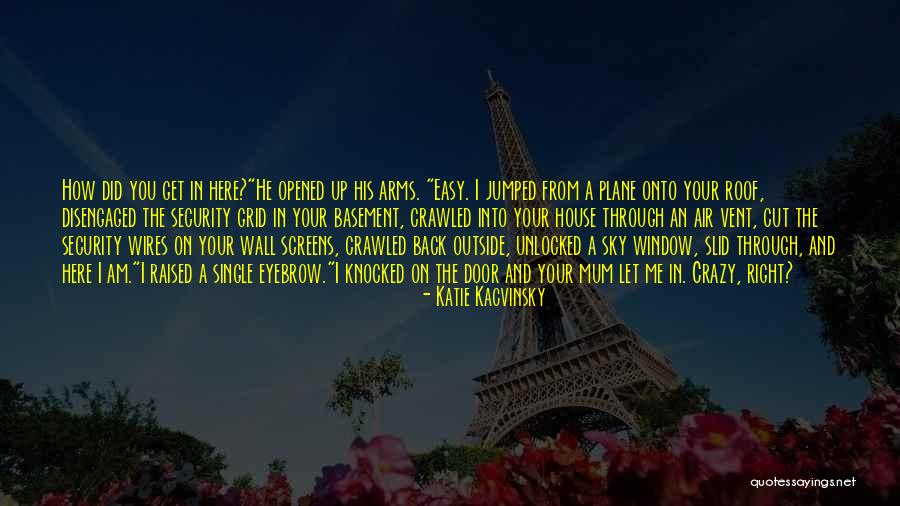 Sky And Plane Quotes By Katie Kacvinsky Sky And Plane Quotes By Katie Kacvinsky