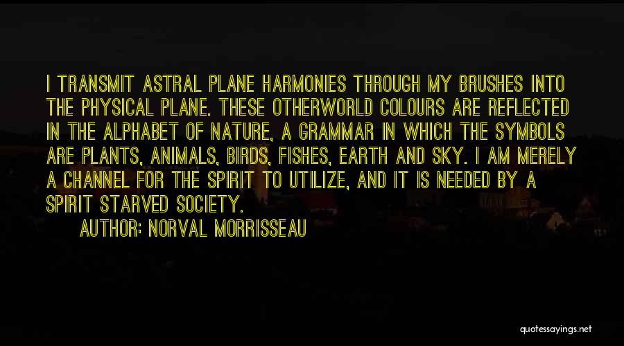 Sky And Plane Quotes By Norval Morrisseau