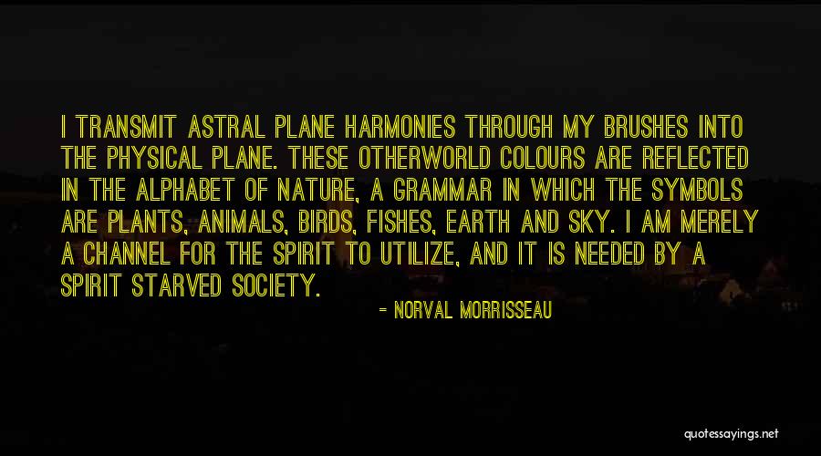 Sky And Plane Quotes By Norval Morrisseau