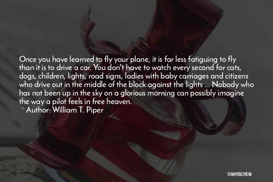 Sky And Plane Quotes By William T. Piper