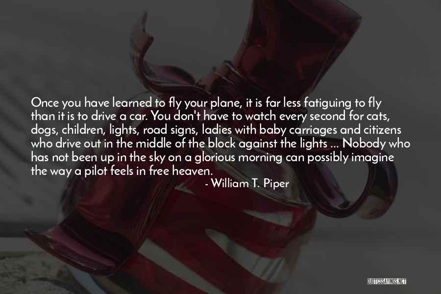 Sky And Plane Quotes By William T. Piper