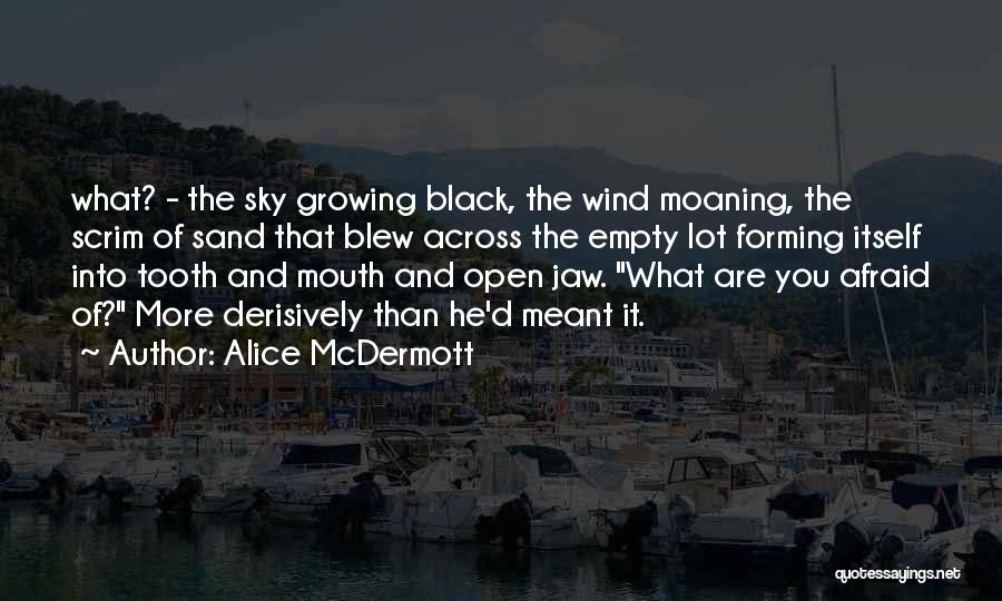 Sky And Sand Quotes By Alice McDermott