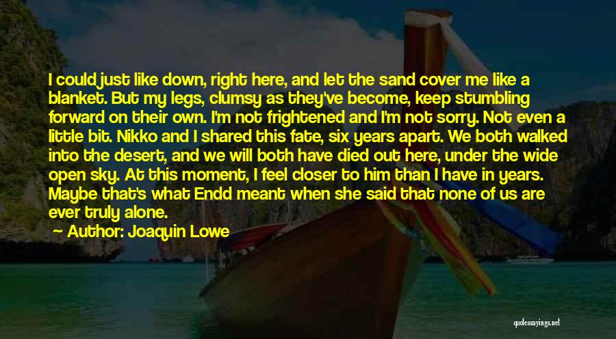 Sky And Sand Quotes By Joaquin Lowe