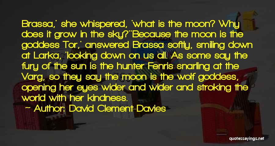 Sky And Sun Quotes By David Clement-Davies