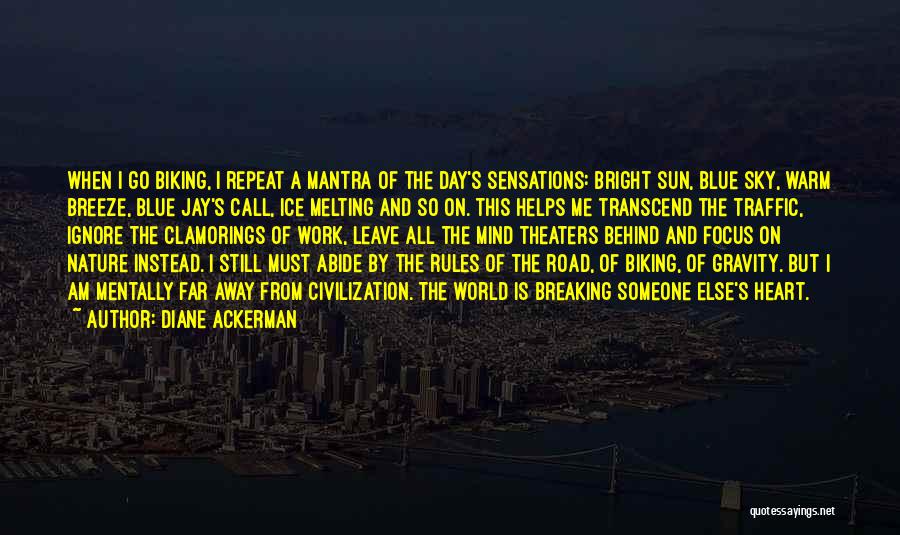 Sky And Sun Quotes By Diane Ackerman