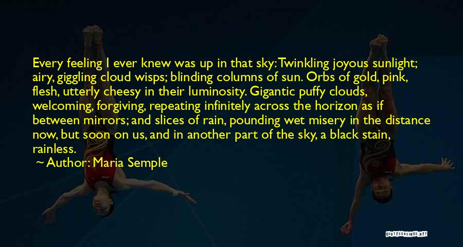 Sky And Sun Quotes By Maria Semple