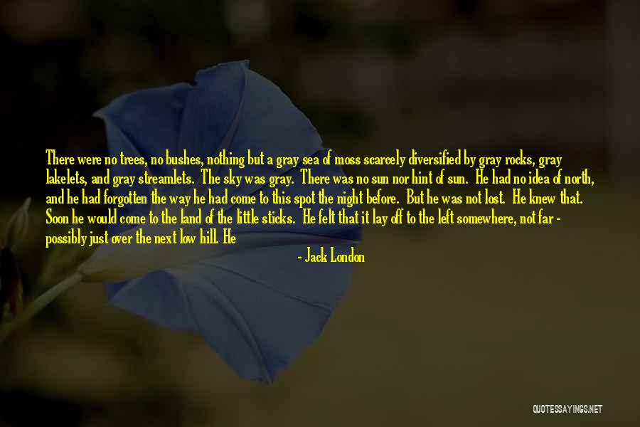Sky And Trees Quotes By Jack London Sky And Trees Quotes By Jack London