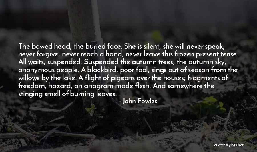 Sky And Trees Quotes By John Fowles Sky And Trees Quotes By John Fowles