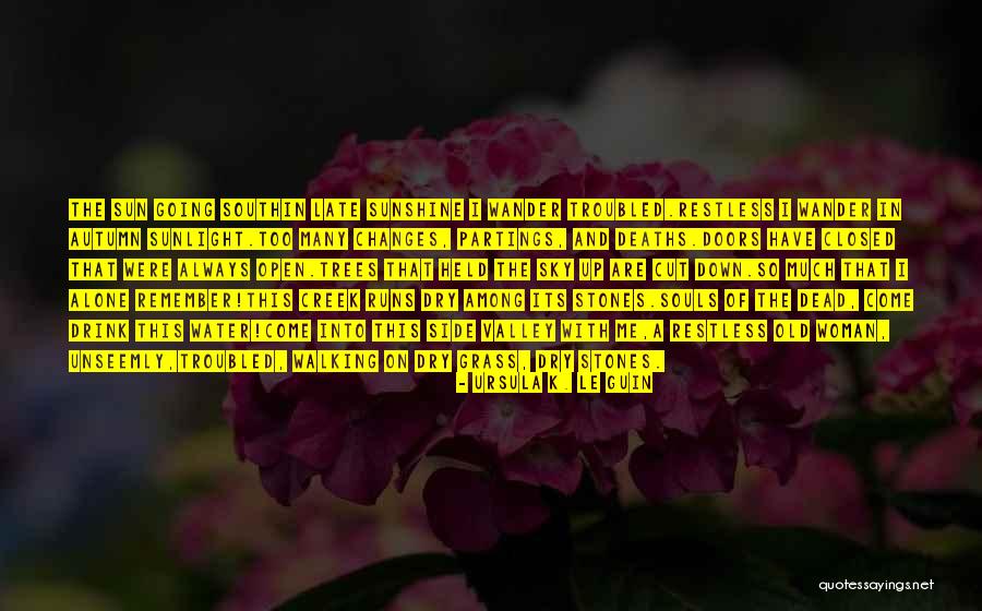 Sky And Trees Quotes By Ursula K. Le Guin Sky And Trees Quotes By Ursula K. Le Guin