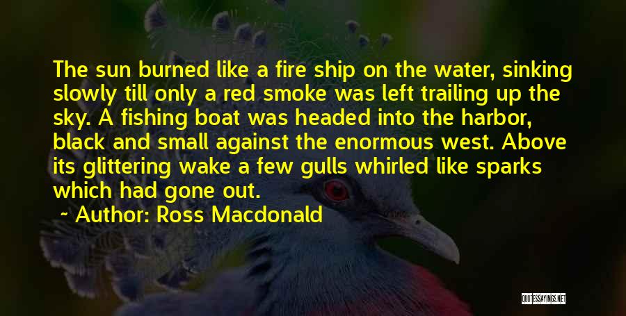 Sky And Water Quotes By Ross Macdonald