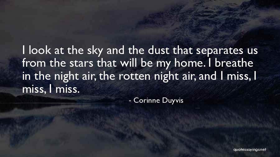 Sky At Night Quotes By Corinne Duyvis